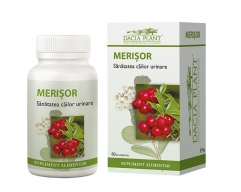 Merisor 60 cp